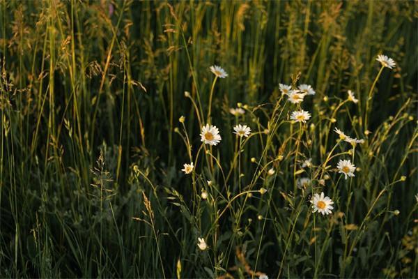 醫(yī)保統(tǒng)籌賬戶余額怎么查詢？里面的錢會(huì)用完嗎？
