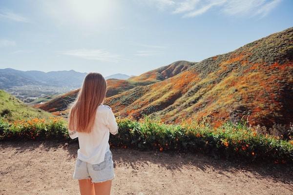 旅游意外險多少錢一人？買旅游意外險要注意什么？
