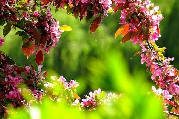 養(yǎng)老金計算方法與公式是怎樣的？養(yǎng)老金多少歲可以領(lǐng)錢？