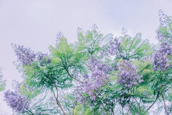 農(nóng)村醫(yī)保異地就醫(yī)報銷比例是多少？報銷要哪些資料？