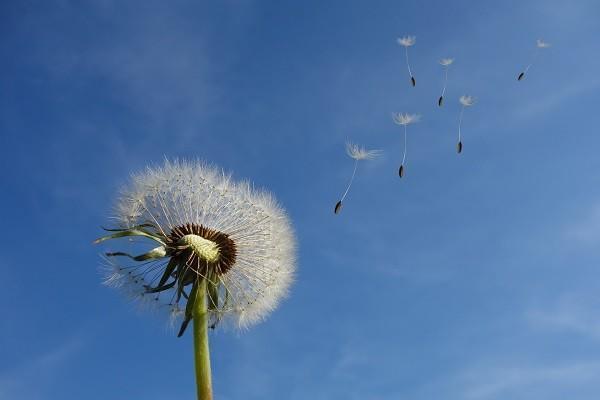 職工醫(yī)保統(tǒng)籌賬戶里的錢怎么用？是怎么來的？