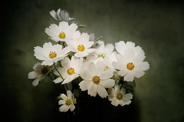 補充醫(yī)療保險一年交多少錢？怎么買比較好？