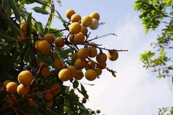 養(yǎng)老保險怎么計算方法是怎樣的？如何領(lǐng)取養(yǎng)老金？