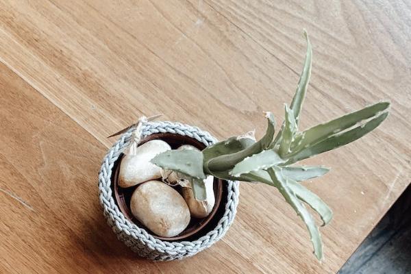 城鎮(zhèn)醫(yī)保報(bào)銷(xiāo)比例是多少？范圍包括哪些？