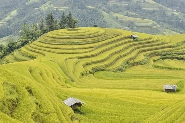 高端醫(yī)療險哪個保險公司好？適合哪些人群？