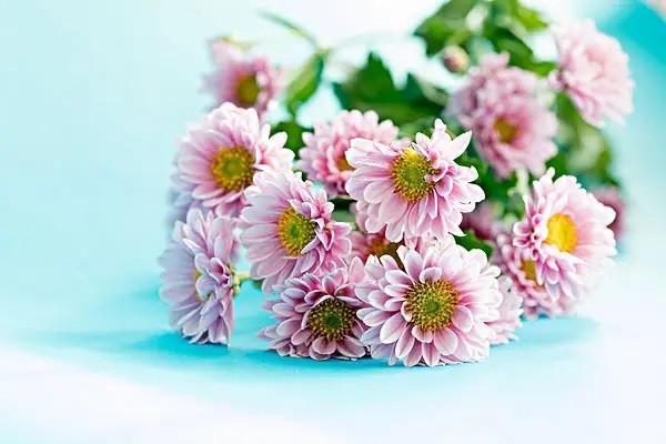 渤海人壽鑫無憂兩全保險是什么產(chǎn)品？優(yōu)缺點有哪些？