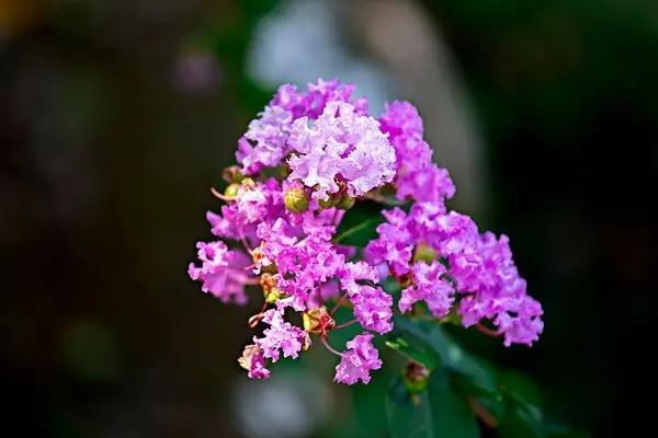 君悅一生養(yǎng)老年金保險(xiǎn)能提供哪些保障？本金能提前取嗎？