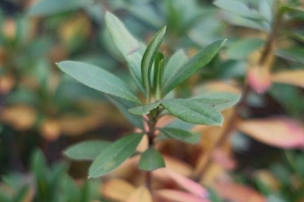 拍拍貸利息太高可以拒絕還款嗎？借款正規(guī)合法嗎？