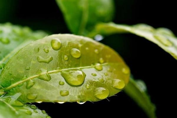 養(yǎng)老保險(xiǎn)交多少錢？要交到多少歲？
