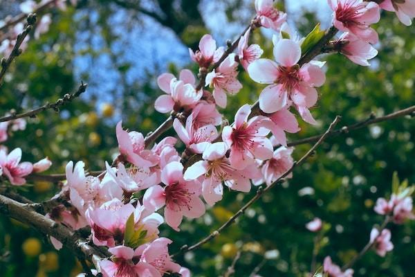 社保卡丟失如何補(bǔ)辦？社?？▉G失補(bǔ)辦可以換照片嗎？