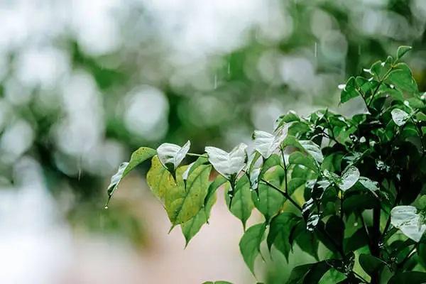 保險(xiǎn)退保怎么退全款？找代理退可靠嗎？