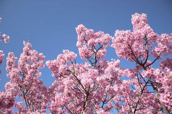 企業(yè)年金和養(yǎng)老保險(xiǎn)是什么？有什么區(qū)別？