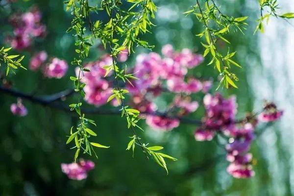 保險斷交一年可以退保嗎？能退多少？