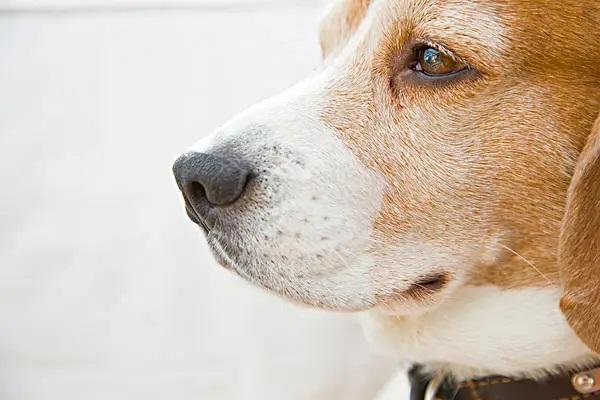 保險被騙了如何退保？能退多少錢？