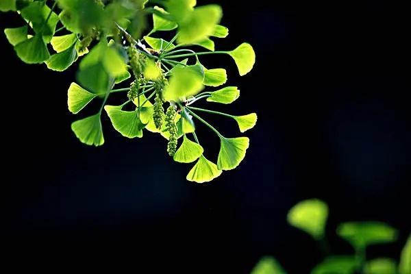 保險可以中途退保嗎？中途退保需要辦理什么手續(xù)？