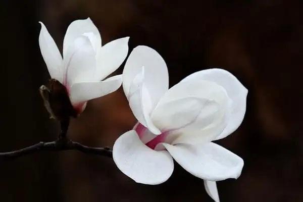 保險過期沒交保費(fèi)能退保嗎？退?？梢酝硕嗌?？