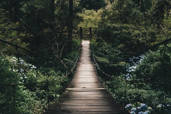 學平險都保什么？報銷流程是怎樣的？