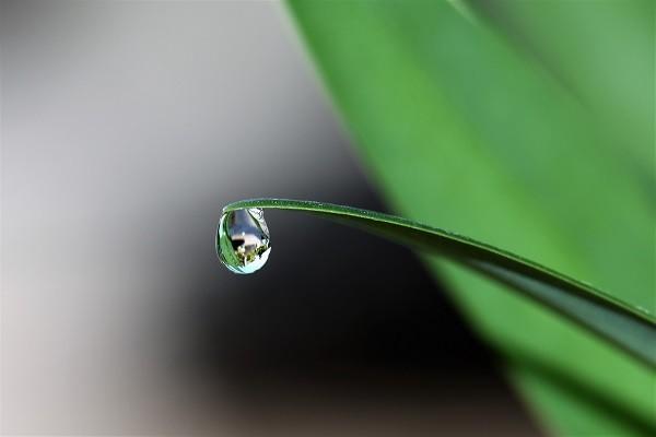 20萬定期最聰明的存錢法是什么？可以用來買保險(xiǎn)嗎？