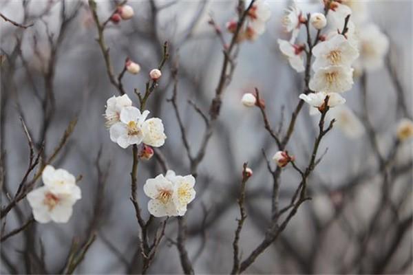 查詢醫(yī)保個人繳費記錄方法有哪些？醫(yī)保繳費基數(shù)是多少？