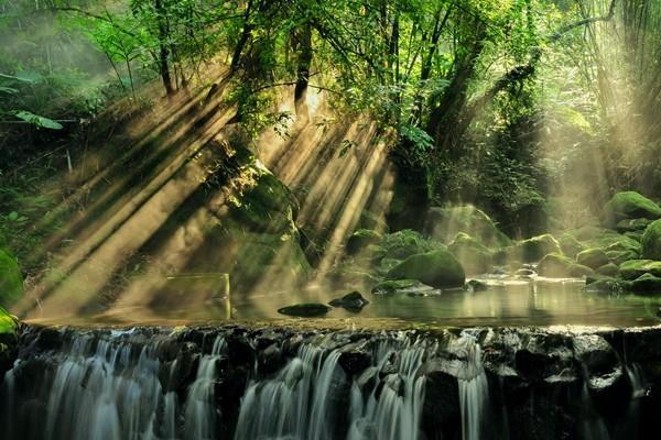 醫(yī)保卡在哪里辦？需要多久可以拿到卡？