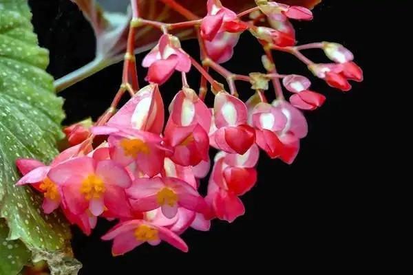 醫(yī)?？ㄑa(bǔ)繳費(fèi)后多久可以使用？補(bǔ)繳后卡里有錢嗎？