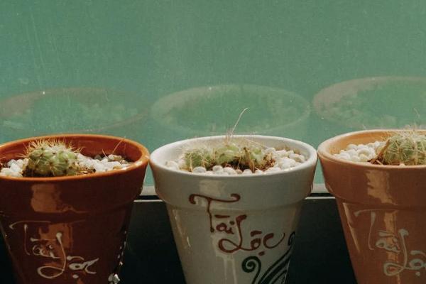 保險復(fù)利3.5%怎么算的？有必要買嗎？
