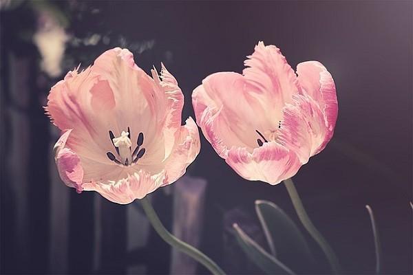 年金養(yǎng)老保險(xiǎn)是什么？優(yōu)點(diǎn)有哪些？