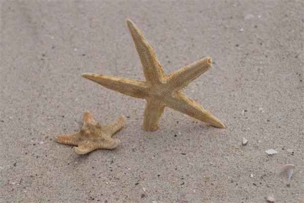 低保查幾個(gè)月銀行流水？補(bǔ)助標(biāo)準(zhǔn)是什么？