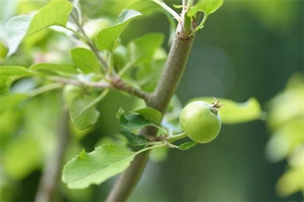 百年人壽百悅?cè)松B(yǎng)老年金保險怎么樣？可以減保嗎？