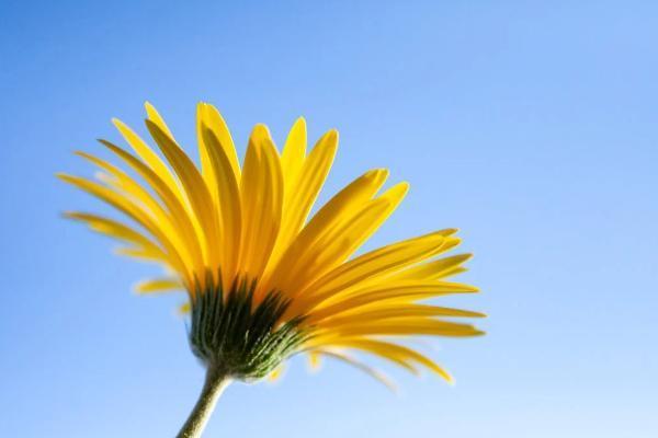 人保壽險關(guān)愛百萬醫(yī)療保險怎么樣？需不需要購買？
