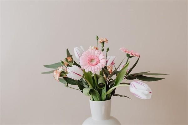 太平卓越優(yōu)享終身年金保險(xiǎn)(分紅型)提供哪些保障？適合誰買？