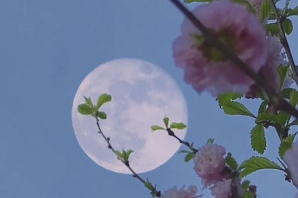 農(nóng)村60歲以后養(yǎng)老多少錢？養(yǎng)老金領(lǐng)取方法是什么？