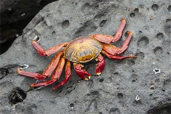 保險公司理財產(chǎn)品可靠么？保險理財產(chǎn)品值得購買嗎？