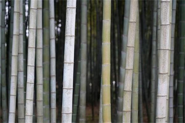 長(zhǎng)期護(hù)理險(xiǎn)要交滿(mǎn)幾年？長(zhǎng)期護(hù)理險(xiǎn)是什么意思？