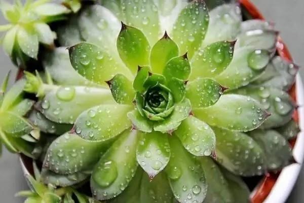 太平洋安享百萬醫(yī)療險有墊付功能嗎？值得購買嗎？