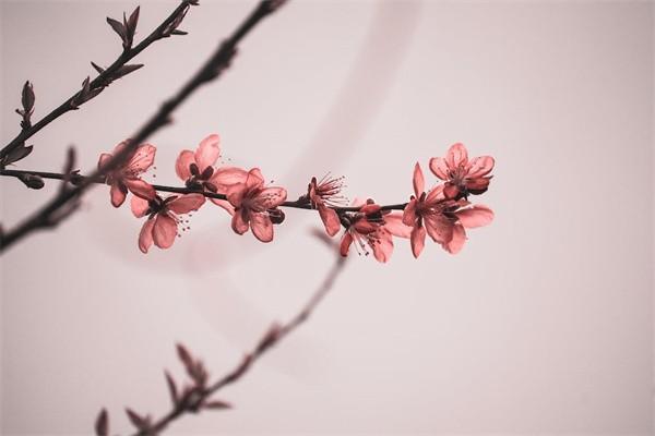 重疾險最后的錢能返還嗎？有必要買嗎？