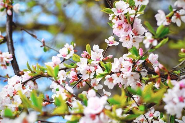 養(yǎng)老年金險和增額終身壽險區(qū)別？怎么選？