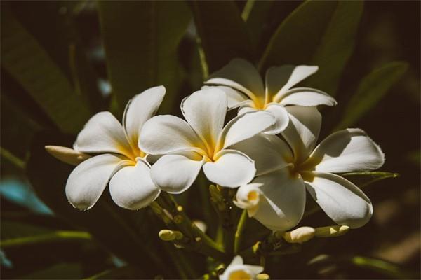 太平洋萬能賬戶結(jié)算利率公告怎么查詢？有多少？