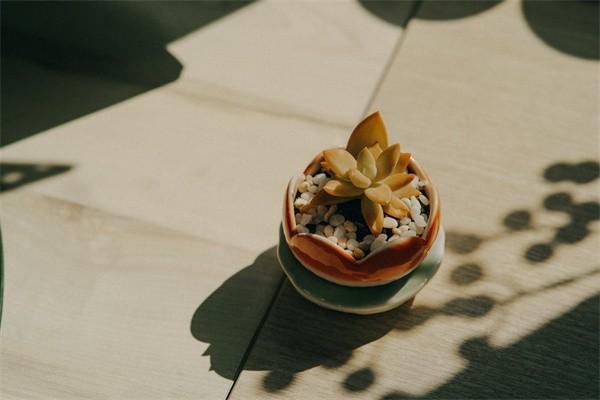 養(yǎng)老保險怎么買最劃算？要交多少年呢？