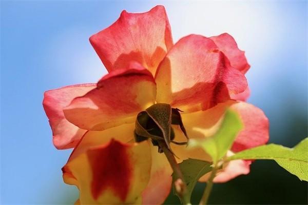 中郵保險(xiǎn)一年存2萬(wàn)一共存3年是真的嗎？到第四年能取出來(lái)嗎？