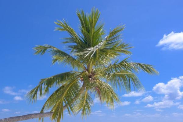 郵政銀行的中郵保險可信嗎？值得購買嗎？