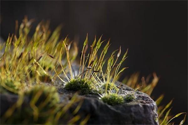 大病險(xiǎn)中途退?？梢苑颠€多少？需要注意哪些問題？