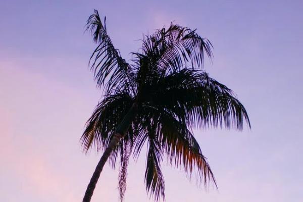 渤海人壽鑫禧人生終身壽險保險怎么樣？怎么買？