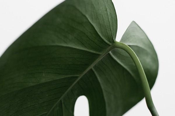 被銀行忽悠買了理財怎么投訴？投訴了有用嗎？