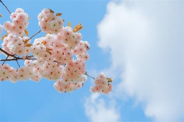 星火保百萬醫(yī)療險是真的嗎？保障些什么？