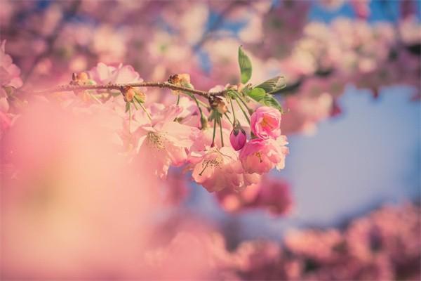 友邦退保能拿回來(lái)多少？多久到賬？