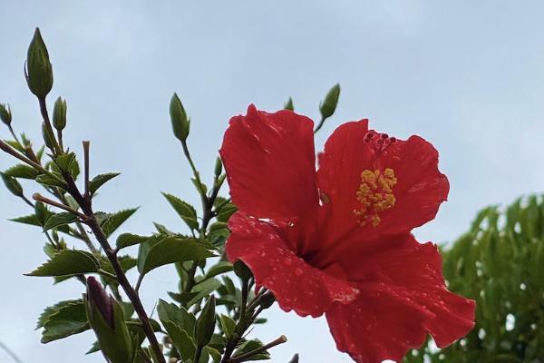 專業(yè)退保險的可靠嗎？怎樣可以全額退保？