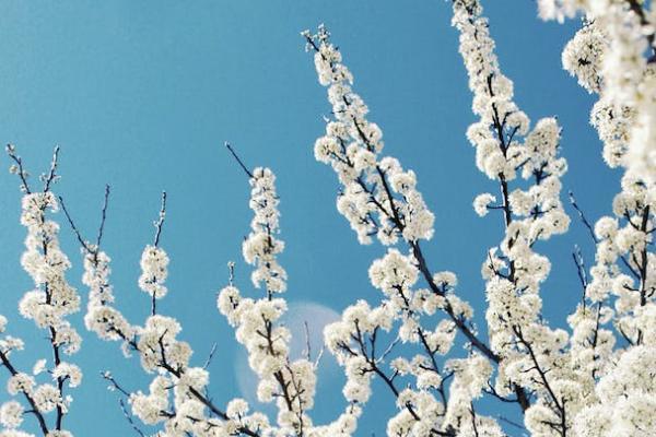 城鄉(xiāng)居民養(yǎng)老保險(xiǎn)多少錢？選擇什么檔次比較好？