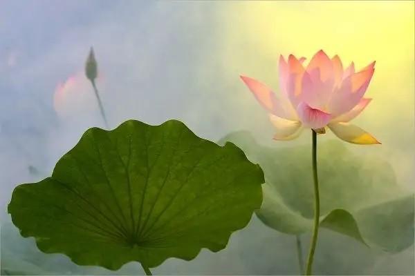建行保險(xiǎn)理財(cái)產(chǎn)品可靠嗎？會(huì)虧損本金嗎？