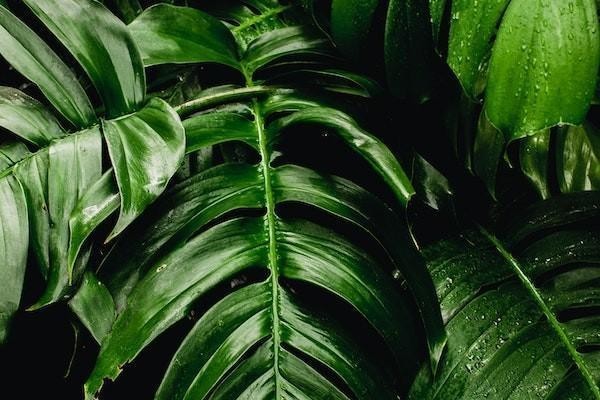 借唄逾期一年多可以申請減免利息嗎？逾期可以申請延期還款嗎